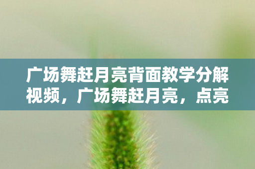 广场舞赶月亮背面教学分解视频，广场舞赶月亮，点亮社区的夜，舞动生活的美