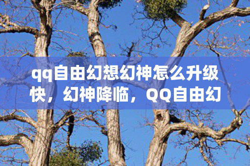 qq自由幻想幻神怎么升级快，幻神降临，QQ自由幻想的传奇之路
