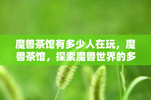 魔兽茶馆有多少人在玩，魔兽茶馆，探索魔兽世界的多元文化与社区生态