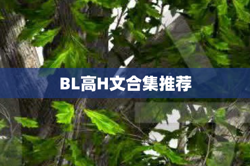 BL高H文合集推荐