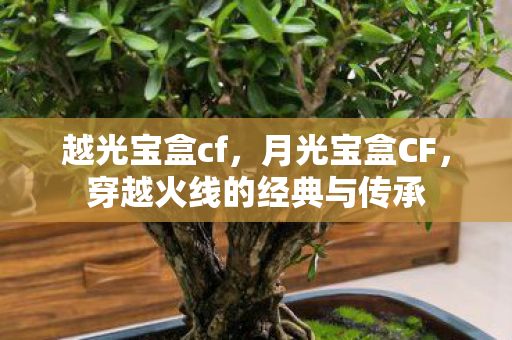 越光宝盒cf，月光宝盒CF，穿越火线的经典与传承