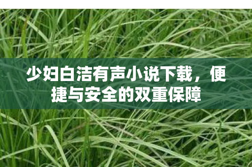 少妇白洁有声小说下载，便捷与安全的双重保障
