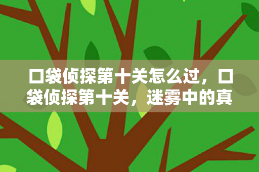 口袋侦探第十关怎么过，口袋侦探第十关，迷雾中的真相