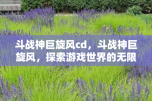 斗战神巨旋风cd，斗战神巨旋风，探索游戏世界的无限可能