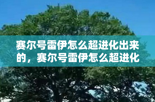赛尔号雷伊怎么超进化出来的，赛尔号雷伊怎么超进化