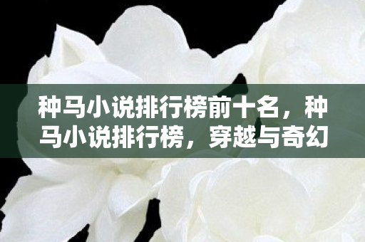 种马小说排行榜前十名，种马小说排行榜，穿越与奇幻的浪漫之旅