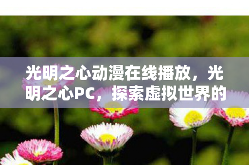 光明之心动漫在线播放，光明之心PC，探索虚拟世界的无限可能