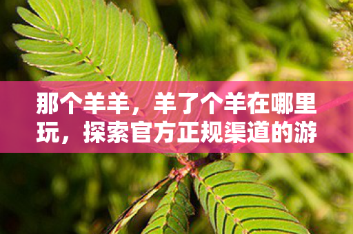 那个羊羊，羊了个羊在哪里玩，探索官方正规渠道的游戏体验