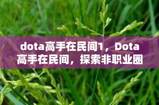 dota高手在民间1，Dota高手在民间，探索非职业圈中的游戏艺术