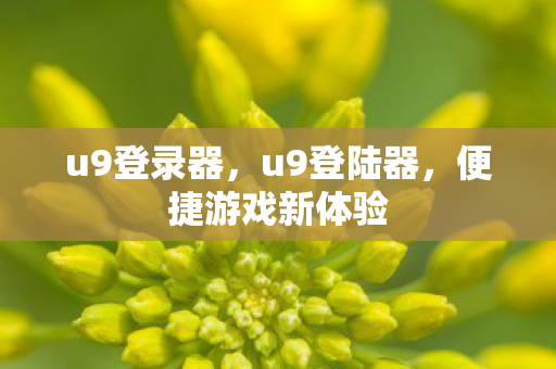 u9登录器，u9登陆器，便捷游戏新体验
