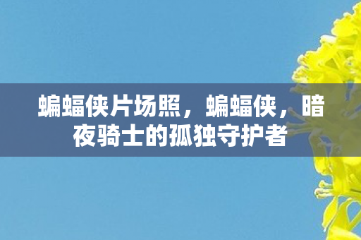 蝙蝠侠片场照，蝙蝠侠，暗夜骑士的孤独守护者