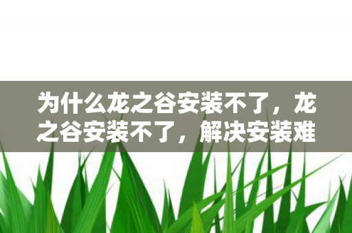 为什么龙之谷安装不了，龙之谷安装不了，解决安装难题，畅享游戏之旅