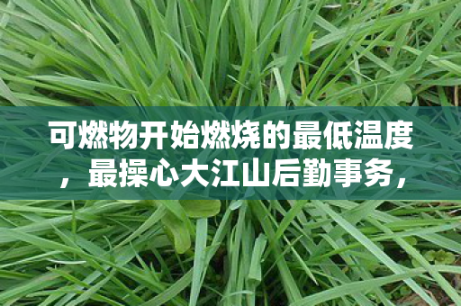 可燃物开始燃烧的最低温度，最操心大江山后勤事务，如何高效管理资源，确保江山稳固