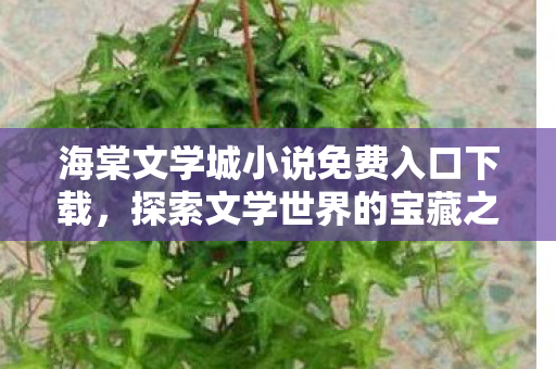 海棠文学城小说免费入口下载，探索文学世界的宝藏之地