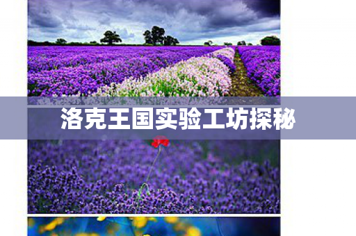 洛克王国实验工坊探秘