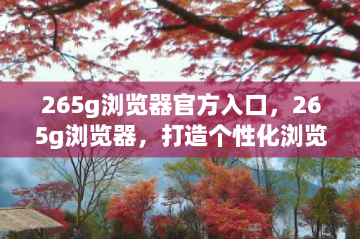 265g浏览器官方入口，265g浏览器，打造个性化浏览体验