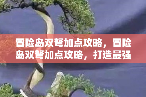 冒险岛双弩加点攻略，冒险岛双弩加点攻略，打造最强输出角色