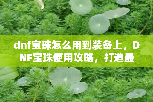 dnf宝珠怎么用到装备上，DNF宝珠使用攻略，打造最强装备，提升战斗力的关键