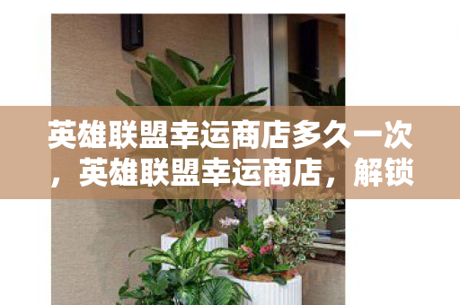 英雄联盟幸运商店多久一次，英雄联盟幸运商店，解锁游戏新体验，幸运抽奖等你来！