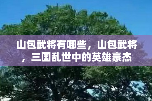 山包武将有哪些，山包武将，三国乱世中的英雄豪杰