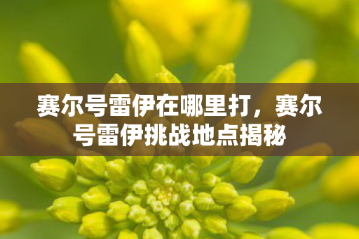 赛尔号雷伊在哪里打，赛尔号雷伊挑战地点揭秘