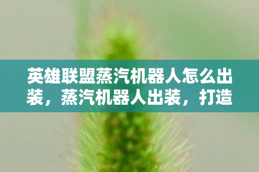 英雄联盟蒸汽机器人怎么出装，蒸汽机器人出装，打造最强控制机器