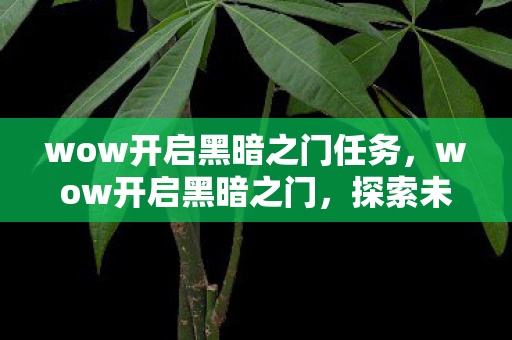 wow开启黑暗之门任务，wow开启黑暗之门，探索未知世界的奇幻之旅
