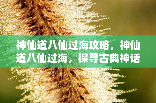神仙道八仙过海攻略，神仙道八仙过海，探寻古典神话与现代游戏的奇妙融合
