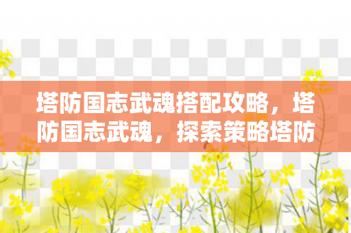 塔防国志武魂搭配攻略，塔防国志武魂，探索策略塔防的无限可能