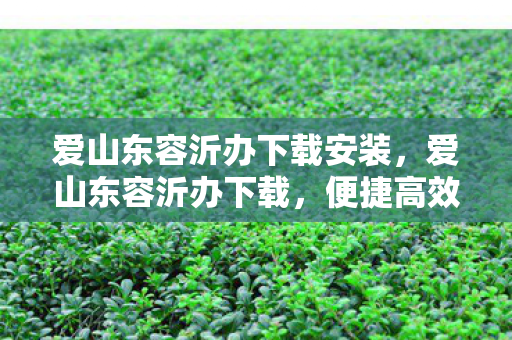 爱山东容沂办下载安装，爱山东容沂办下载，便捷高效的政务服务新体验