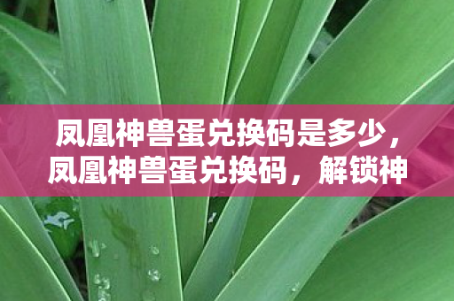 凤凰神兽蛋兑换码是多少，凤凰神兽蛋兑换码，解锁神秘世界的钥匙