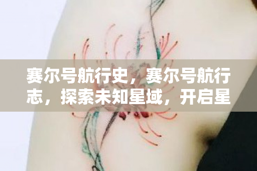 赛尔号航行史，赛尔号航行志，探索未知星域，开启星际冒险