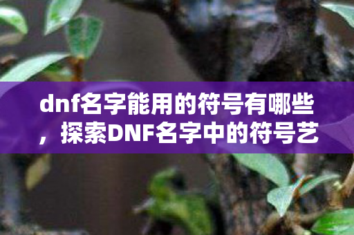 dnf名字能用的符号有哪些，探索DNF名字中的符号艺术，创意与规则的碰撞