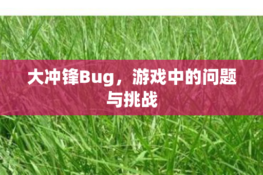 大冲锋Bug，游戏中的问题与挑战