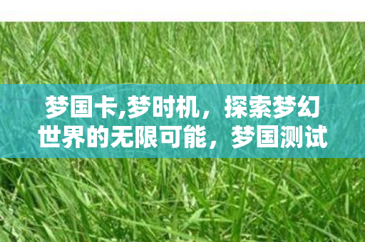 梦国卡,梦时机，探索梦幻世界的无限可能，梦国测试币的奇妙之旅