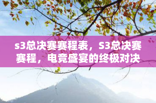 s3总决赛赛程表，S3总决赛赛程，电竞盛宴的终极对决