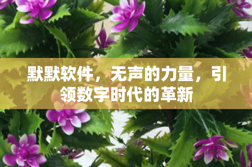 默默软件，无声的力量，引领数字时代的革新