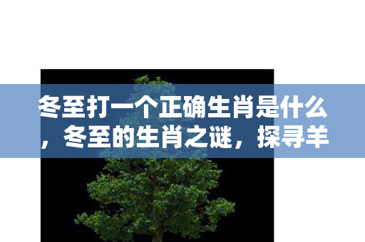 冬至打一个正确生肖是什么，冬至的生肖之谜，探寻羊背后的文化深意