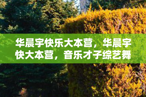 华晨宇快乐大本营，华晨宇快大本营，音乐才子综艺舞台大放异彩