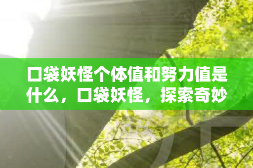 口袋妖怪个体值和努力值是什么，口袋妖怪，探索奇妙世界的奇幻之旅