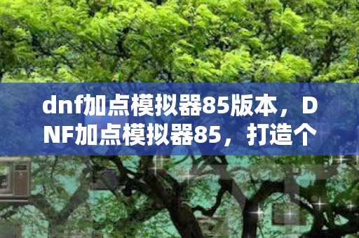 dnf加点模拟器85版本，DNF加点模拟器85，打造个性化角色，提升战斗效率