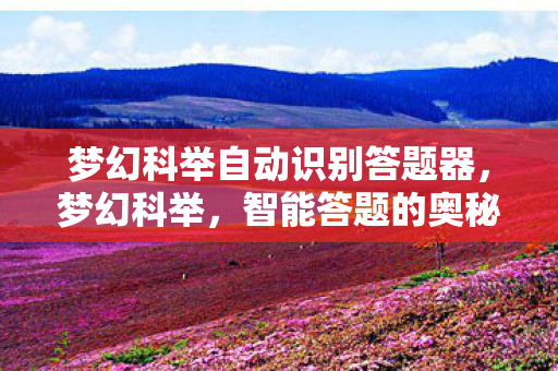 梦幻科举自动识别答题器，梦幻科举，智能答题的奥秘与体验