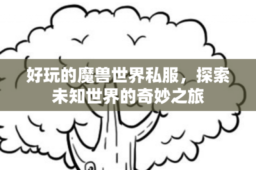 好玩的魔兽世界私服，探索未知世界的奇妙之旅