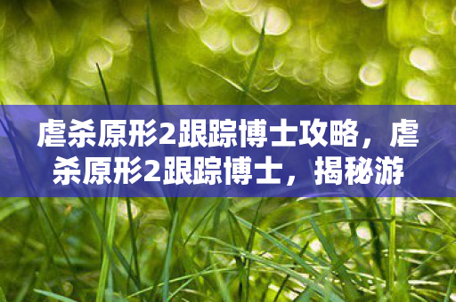 虐杀原形2跟踪博士攻略，虐杀原形2跟踪博士，揭秘游戏背后的神秘人物