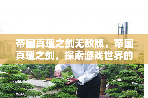 帝国真理之剑无敌版，帝国真理之剑，探索游戏世界的无限可能