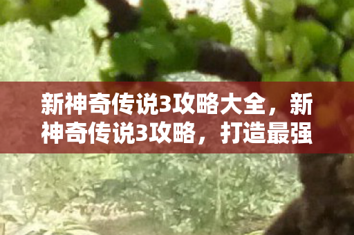 新神奇传说3攻略大全，新神奇传说3攻略，打造最强角色，征服魔幻世界