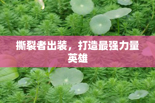 撕裂者出装，打造最强力量英雄