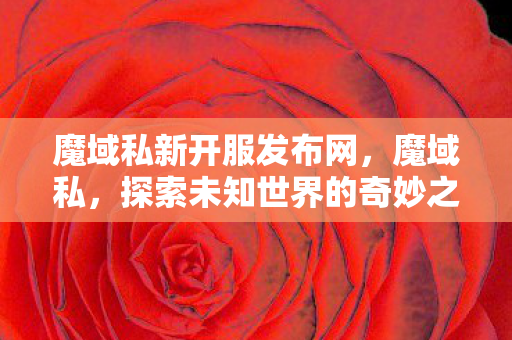 魔域私新开服发布网，魔域私，探索未知世界的奇妙之旅