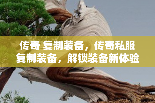传奇 复制装备，传奇私服复制装备，解锁装备新体验，探索无限可能