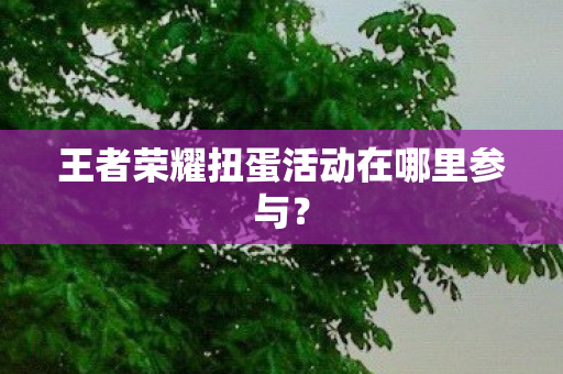 王者荣耀扭蛋活动在哪里参与？